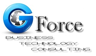 G Force Business and Technology Consulting