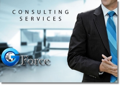 G Force Consulting Services